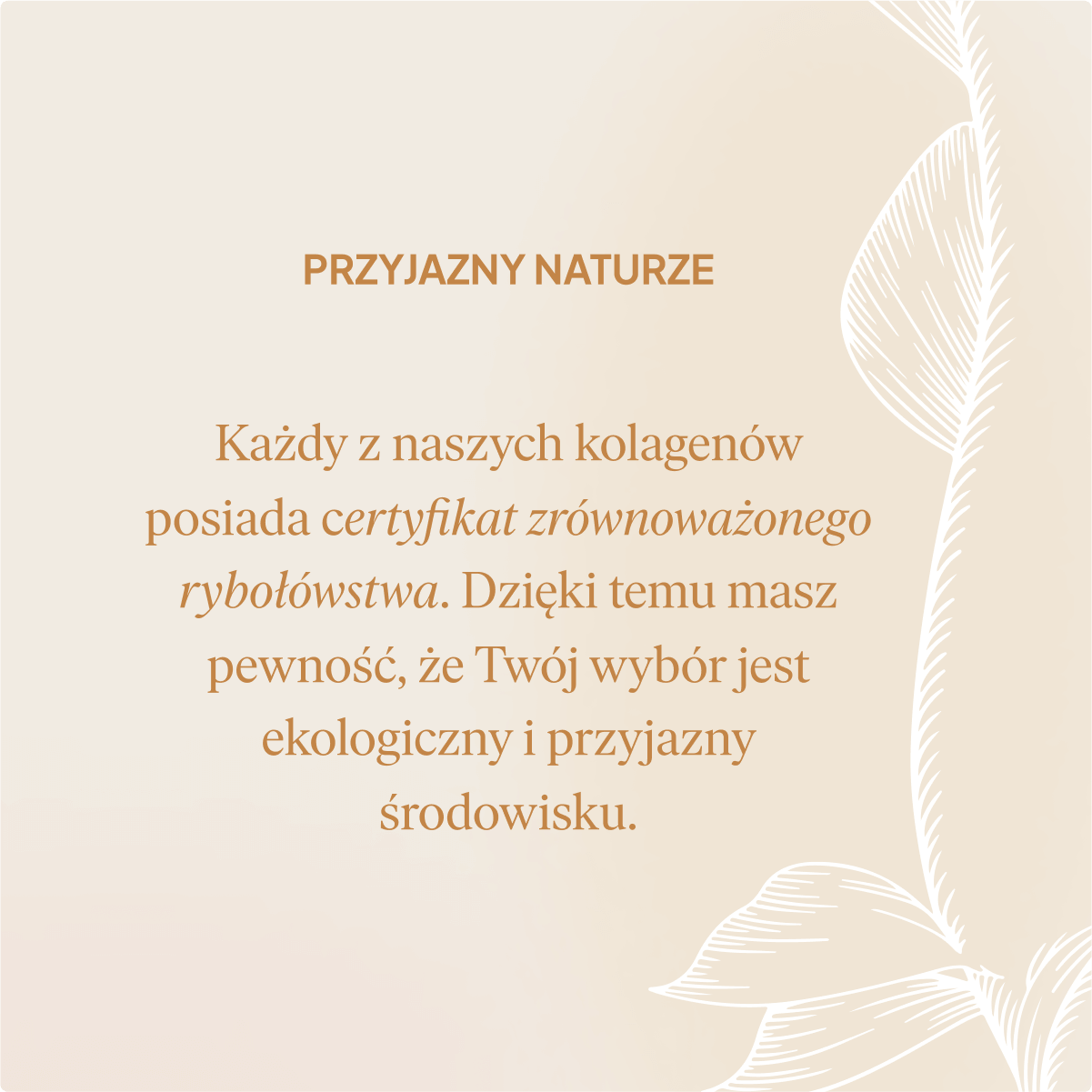 Kolagen Premium 5000 mg, mango-marakuja: tester 3 saszetki