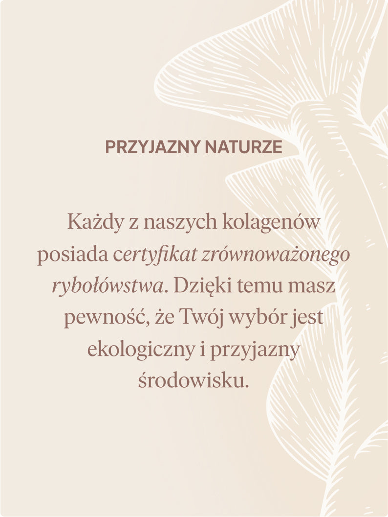 Kolagen Premium 5000 mg, kakao: tester 3 saszetki