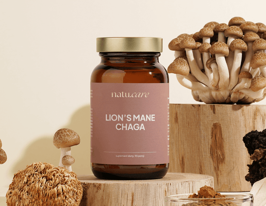 Adaptogeny: Lion’s Mane & Chaga