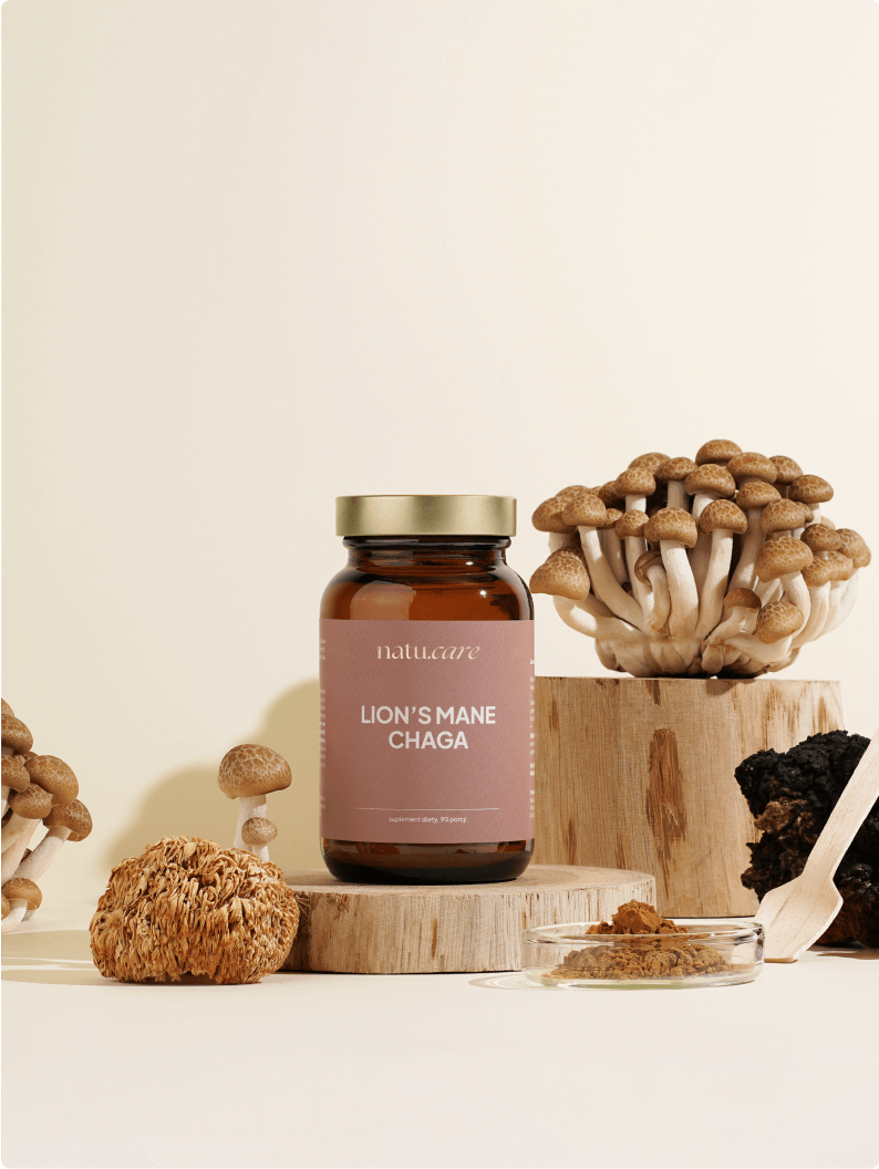Adaptogeny: Lion’s Mane & Chaga