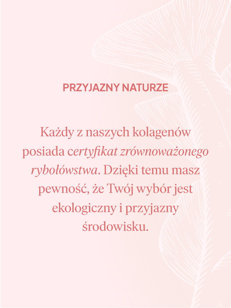 Kolagen Premium 5000 mg, truskawka-rabarbar